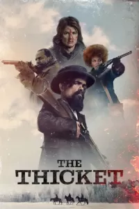 Хаща