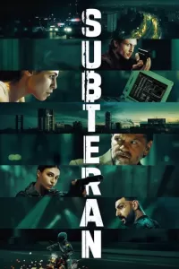 У тіні